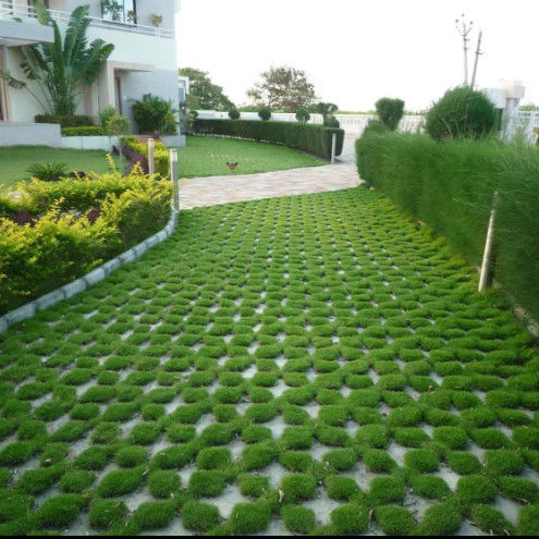 पार्किंग के लिए प्लास्टिक घास ग्रिड आग से बाहर निकलना एचडीपीई Pavers परिदृश्य ग्राउंड के लिए भू-ग्रिड जियोसेल ग्रावेल पैडॉक ग्रिड