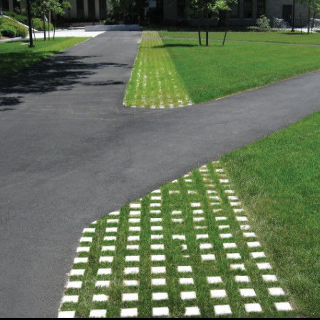 पार्किंग के लिए प्लास्टिक घास ग्रिड आग से बाहर निकलना एचडीपीई Pavers परिदृश्य ग्राउंड के लिए भू-ग्रिड जियोसेल ग्रावेल पैडॉक ग्रिड