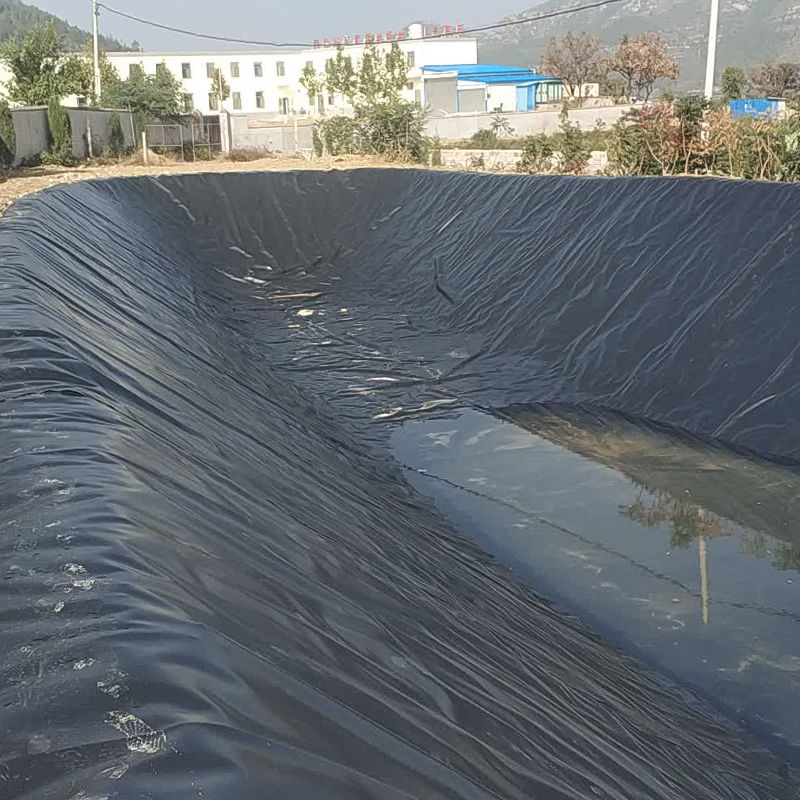 HDPE Geomembrane Pond liner for Landfill Aquaculture Mines Artificial Lake Shrimp Fishing Farm Dam Liner