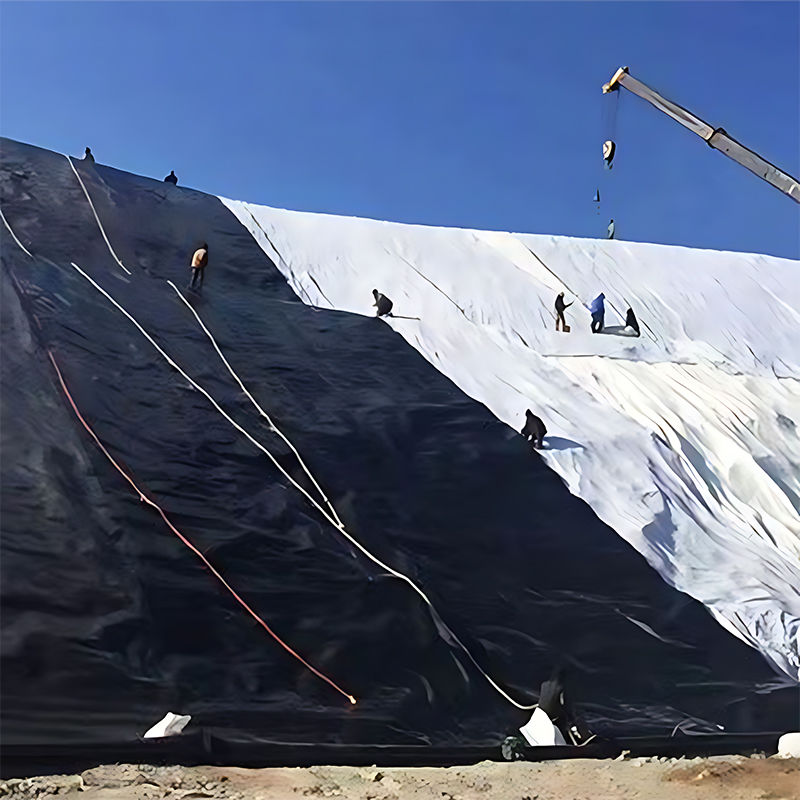 HDPE Geomembrane Pond liner for Landfill Aquaculture Mines Artificial Lake Shrimp Fishing Farm Dam Liner
