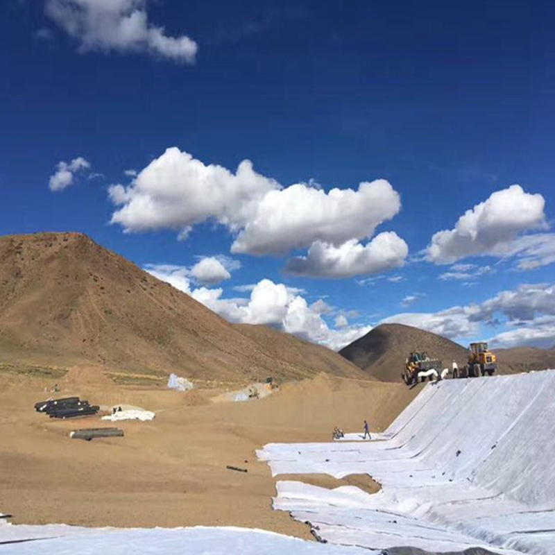 जलाशयों, कृत्रिम झीलों, टेलिंग तालाबों, लैंडफिल निस्पंदन अलगाव के लिए पालतू/पीपी स्पनबॉन्ड गैर-बुना कपड़ा भूटेक्सटाइल