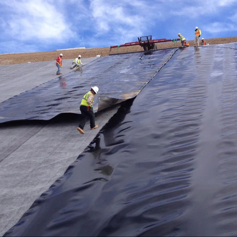 Anti-Seepage Plastic Film Geomembrane with HDPE for Pool Lake River Agriculture Dam Landfill
