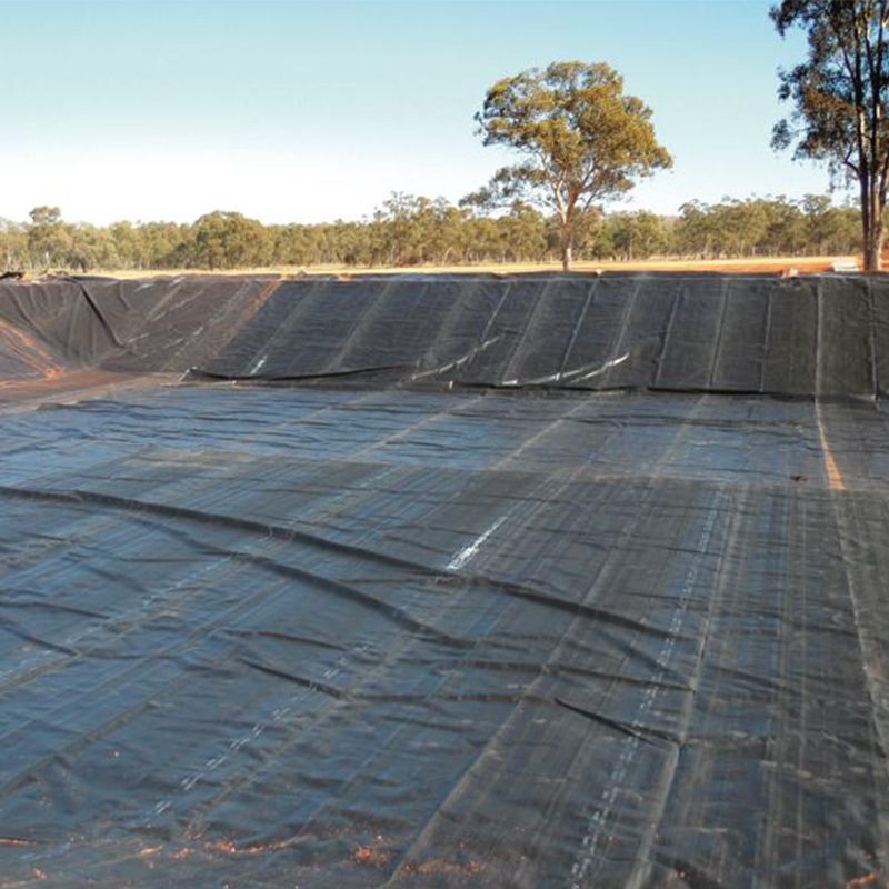 हार्ड ब्लैक लाइनर एचडीपीई वाटरप्रूफ तालाब लाइनर जियोमेम्ब्रेन पॉलीथीन फैक्टरी मूल्य बिक्री के लिए